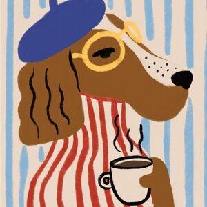 Jenny CCO bundle 💘